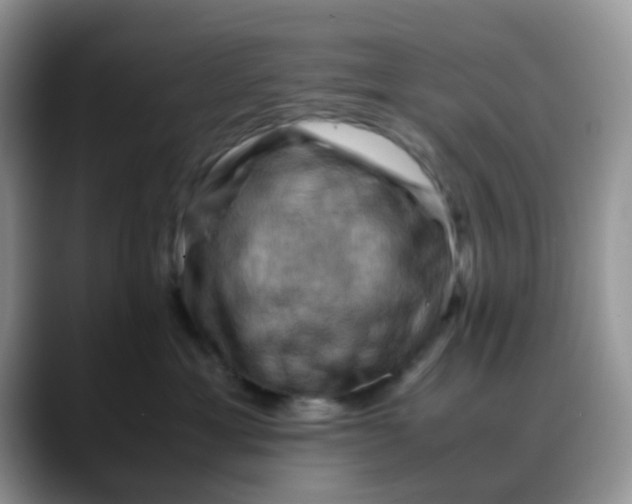 X0000088190429200705292016