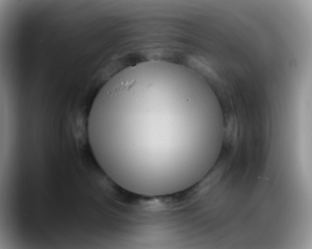 X0000088190430200705292016