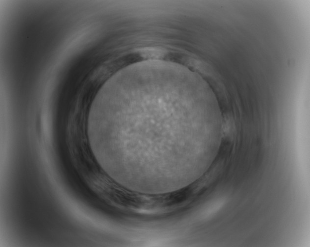 X0000088190431200705292016