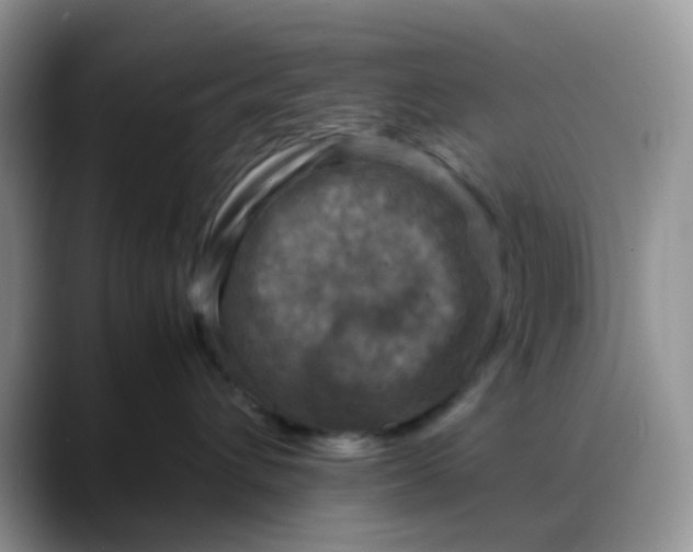 X0000088190432200705292016