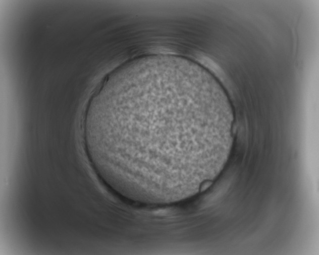 X0000088190433200705292015