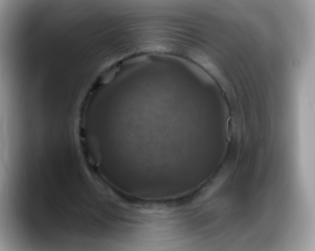 X0000088190434200705292015