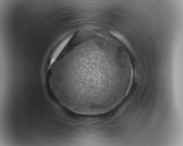 X0000088190436200705292015