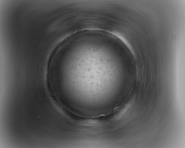 X0000088190437200705292015