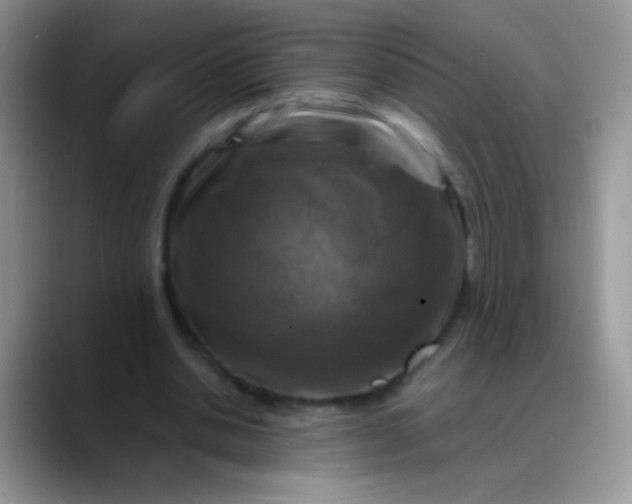 X0000088190438200705292015