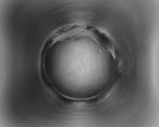 X0000088190440200705292015