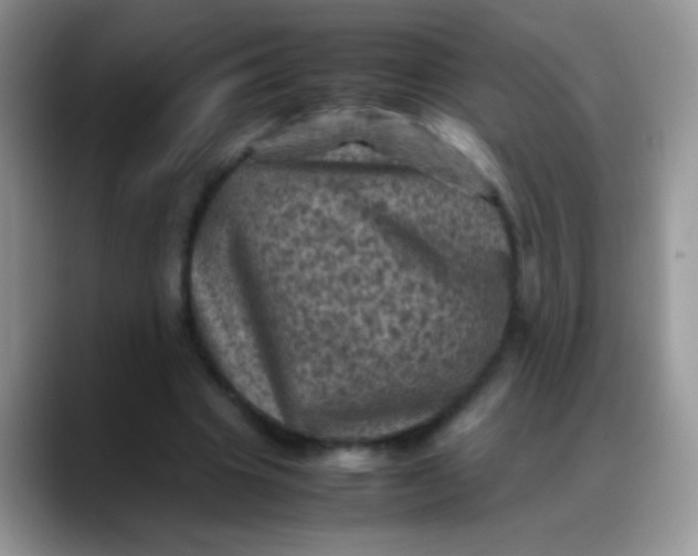 X0000088190441200705292015
