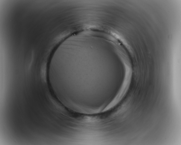 X0000088190442200705292015