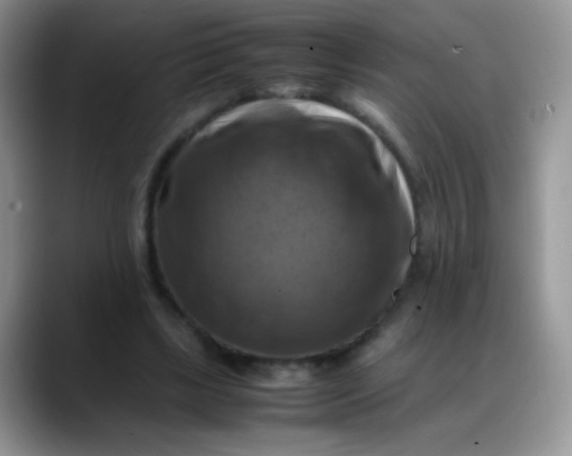 X0000088190443200705292015