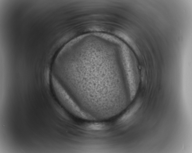 X0000088190445200705292015