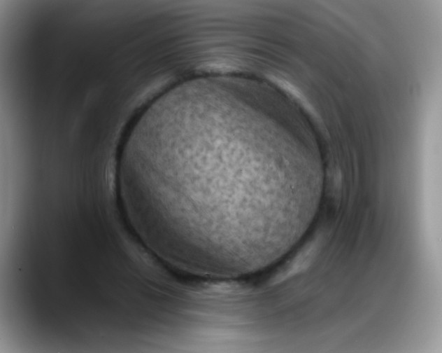 X0000088190446200705292015