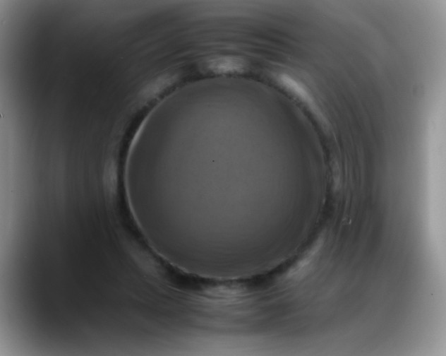 X0000088190447200705292015