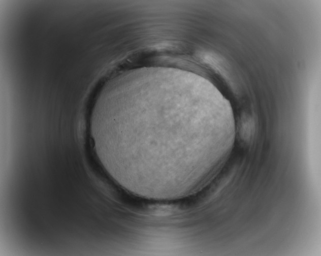 X0000088190448200705292015