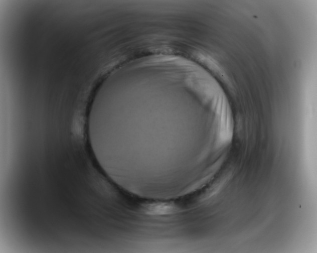 X0000088190449200705292015