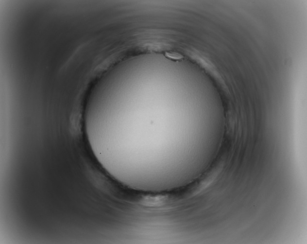 X0000088190450200705292015