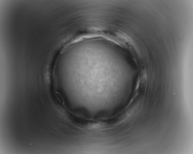 X0000088190452200705292015
