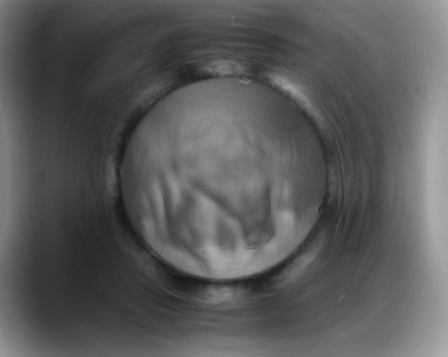 X0000088190453200705292015