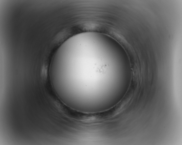 X0000088190454200705292015