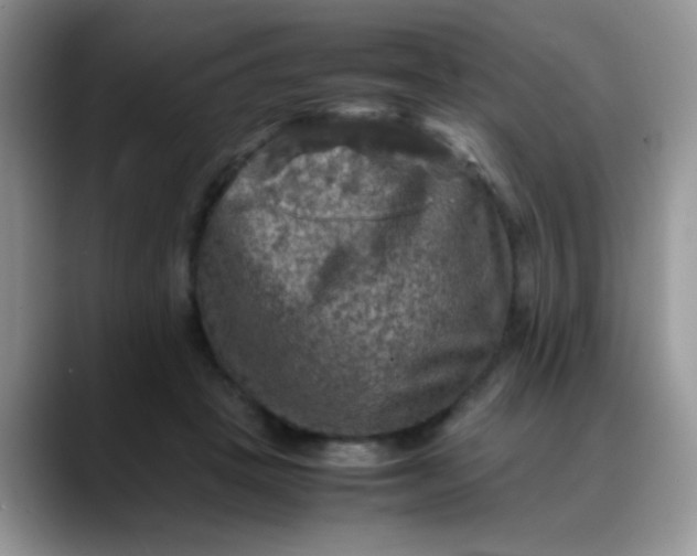X0000088190457200705292015