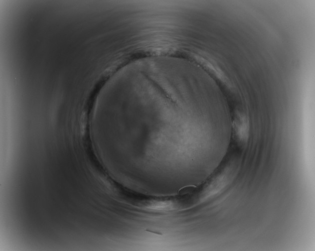 X0000088190458200705292015