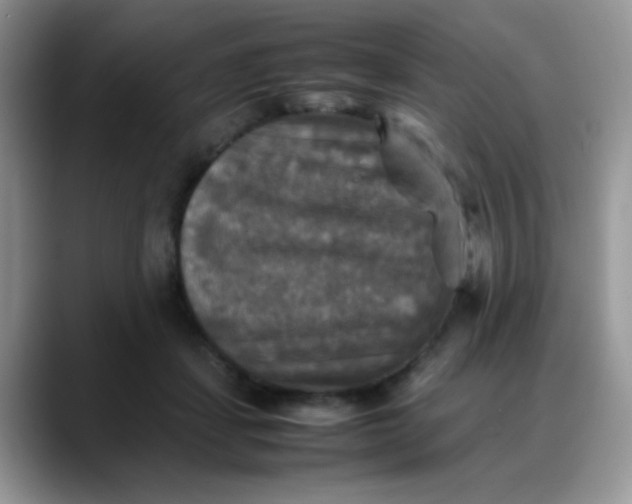 X0000088190459200705292015