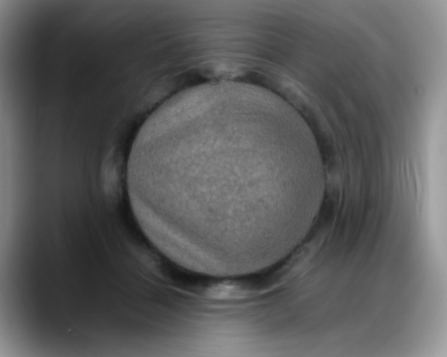 X0000088190460200705292016