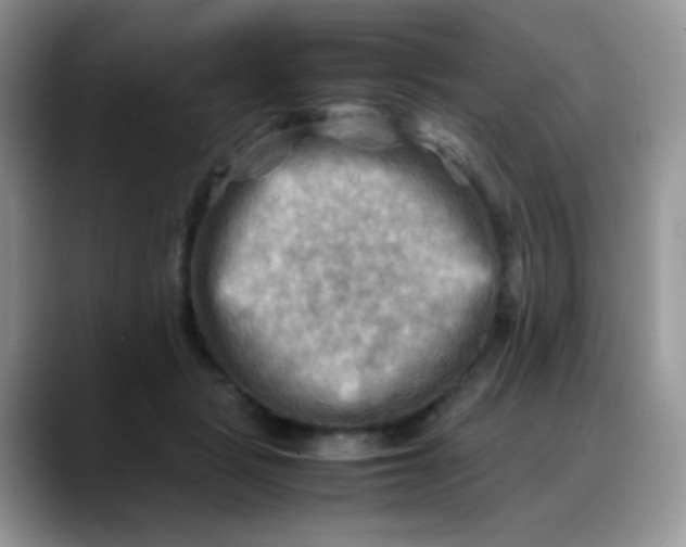 X0000088190461200705292016