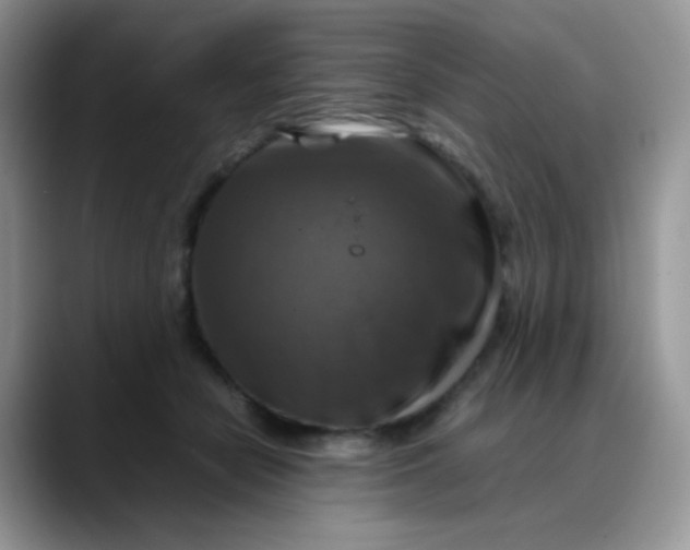 X0000088190462200705292016