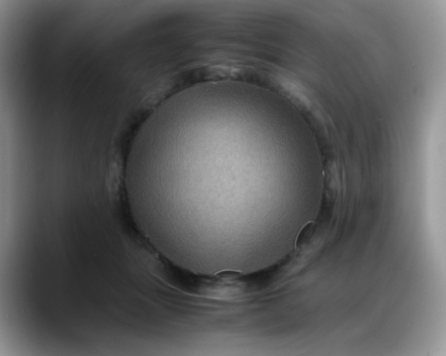 X0000088190463200705292016