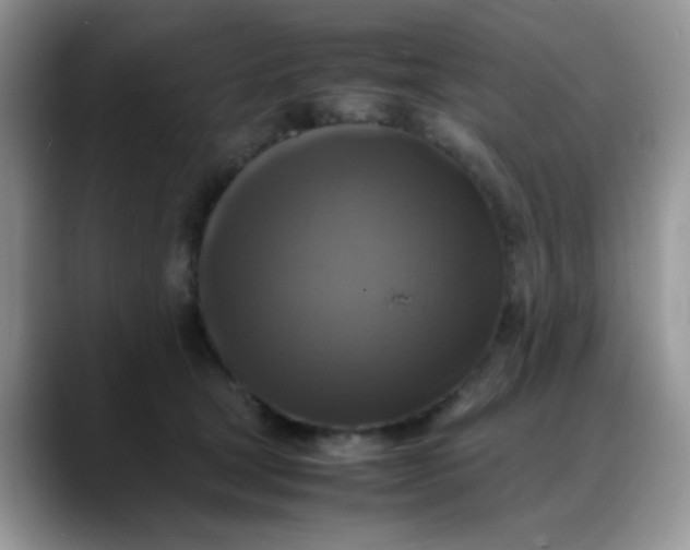 X0000088190465200705292016