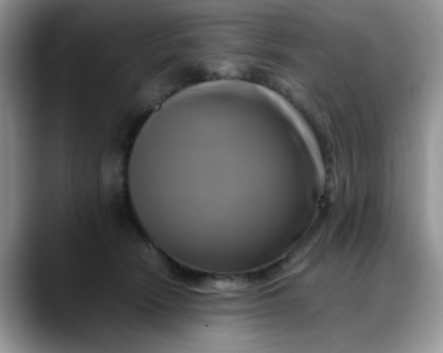 X0000088190466200705292016