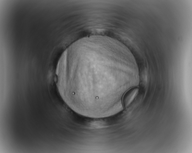 X0000088190468200705292016