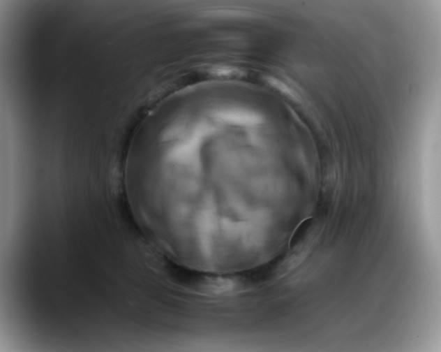 X0000088190469200705292016