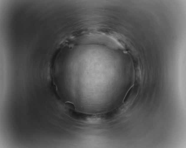 X0000088190470200705292016