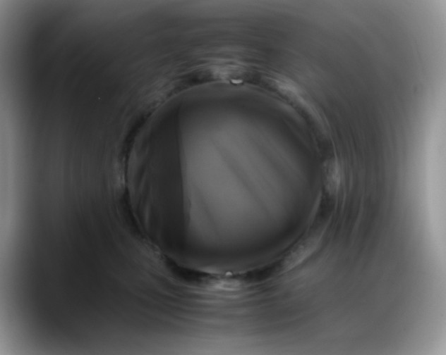 X0000088190471200705292016
