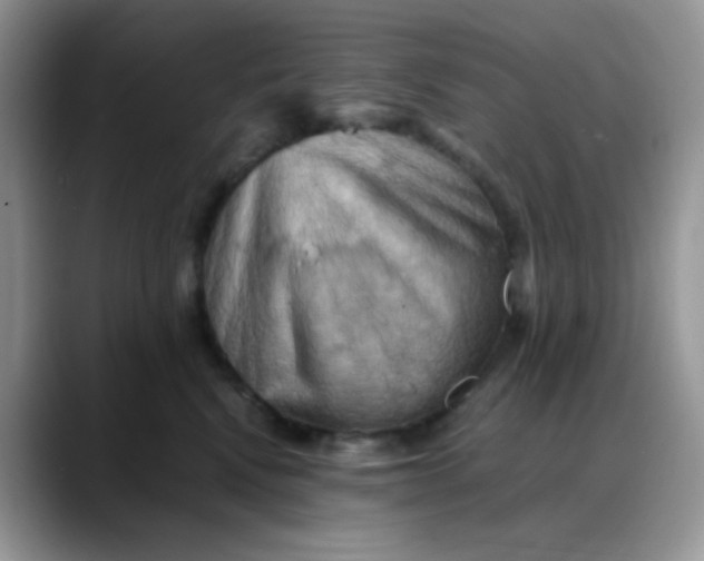 X0000088190472200705292016
