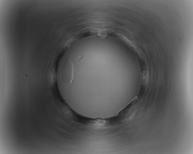 X0000088190474200705292016