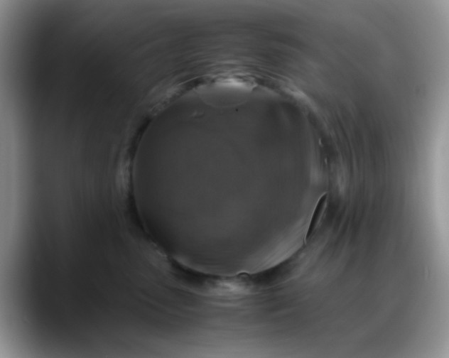 X0000088190475200705292016