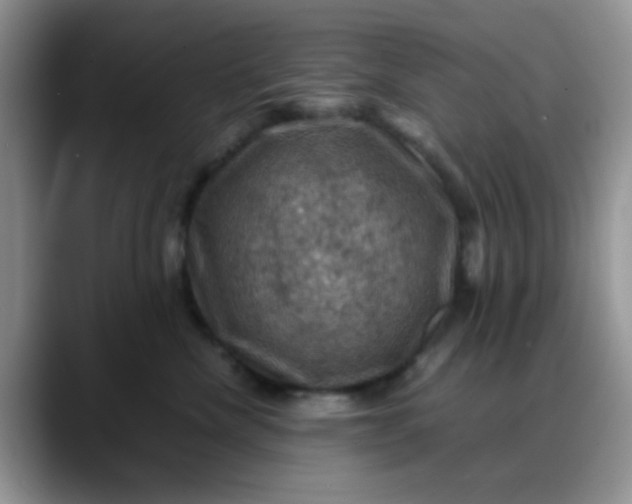 X0000088190476200705292016