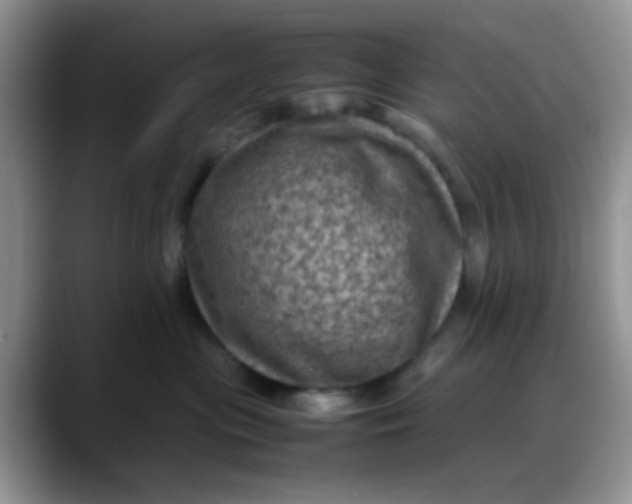 X0000088190477200705292016