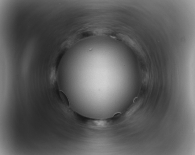 X0000088190478200705292016