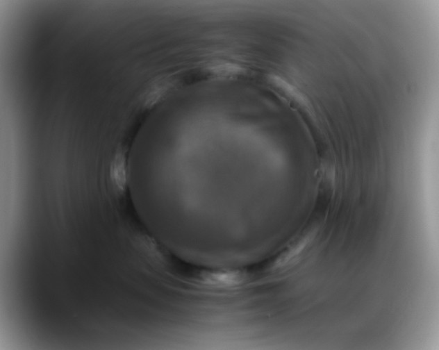 X0000088190479200705292016