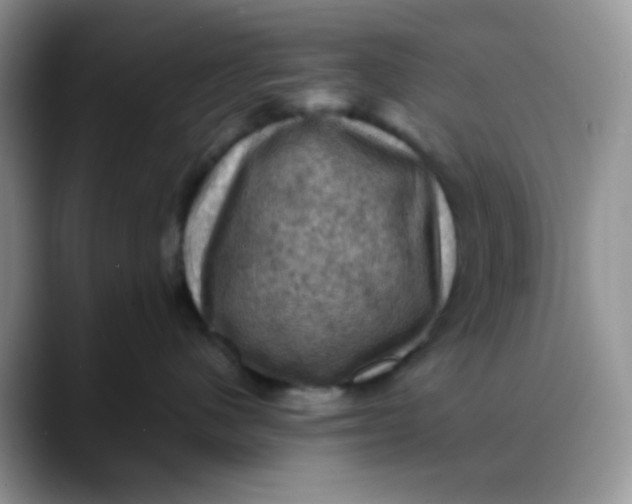 X0000088190480200705292016