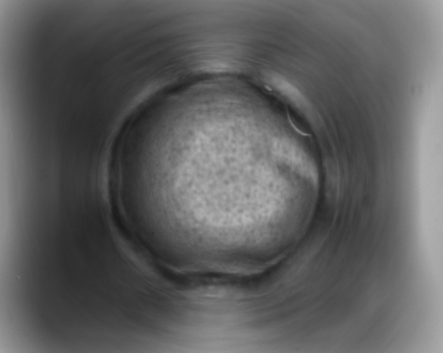 X0000088190482200705292015