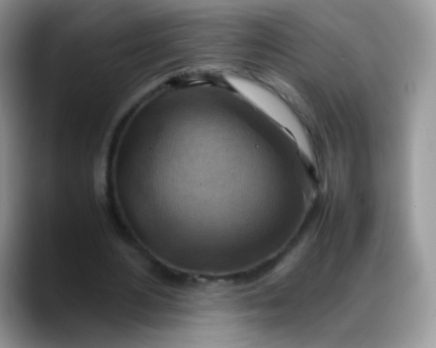 X0000088190484200705292015