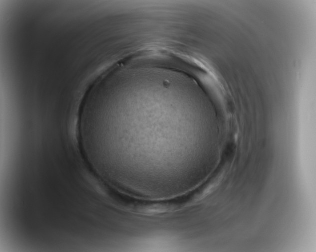 X0000088190485200705292015