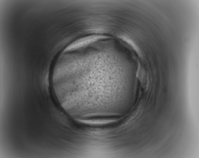 X0000088190486200705292015