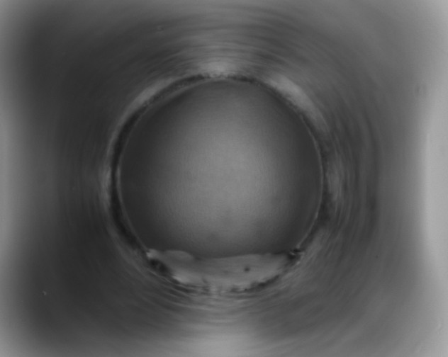 X0000088190488200705292015