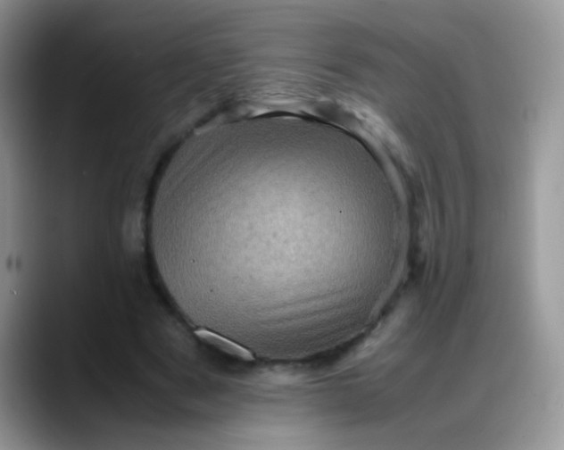 X0000088190489200705292015