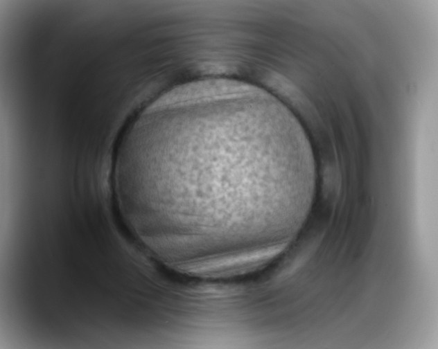 X0000088190490200705292015